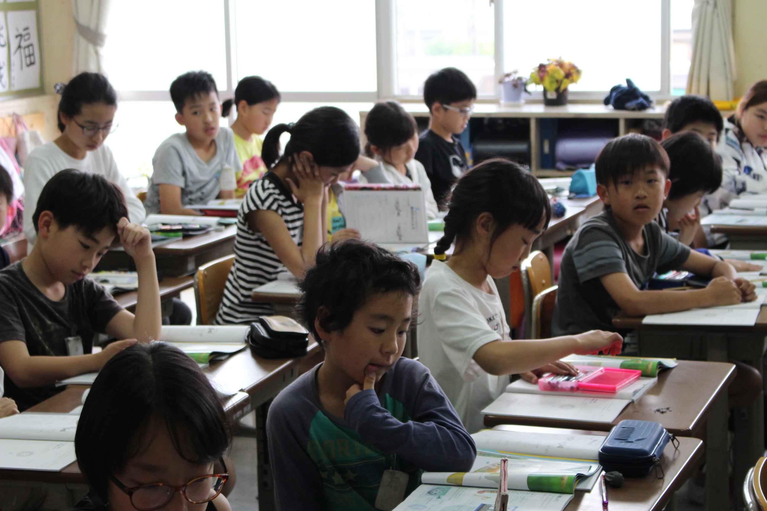 5年1組 理科 めだかの生態 津島市立西小学校