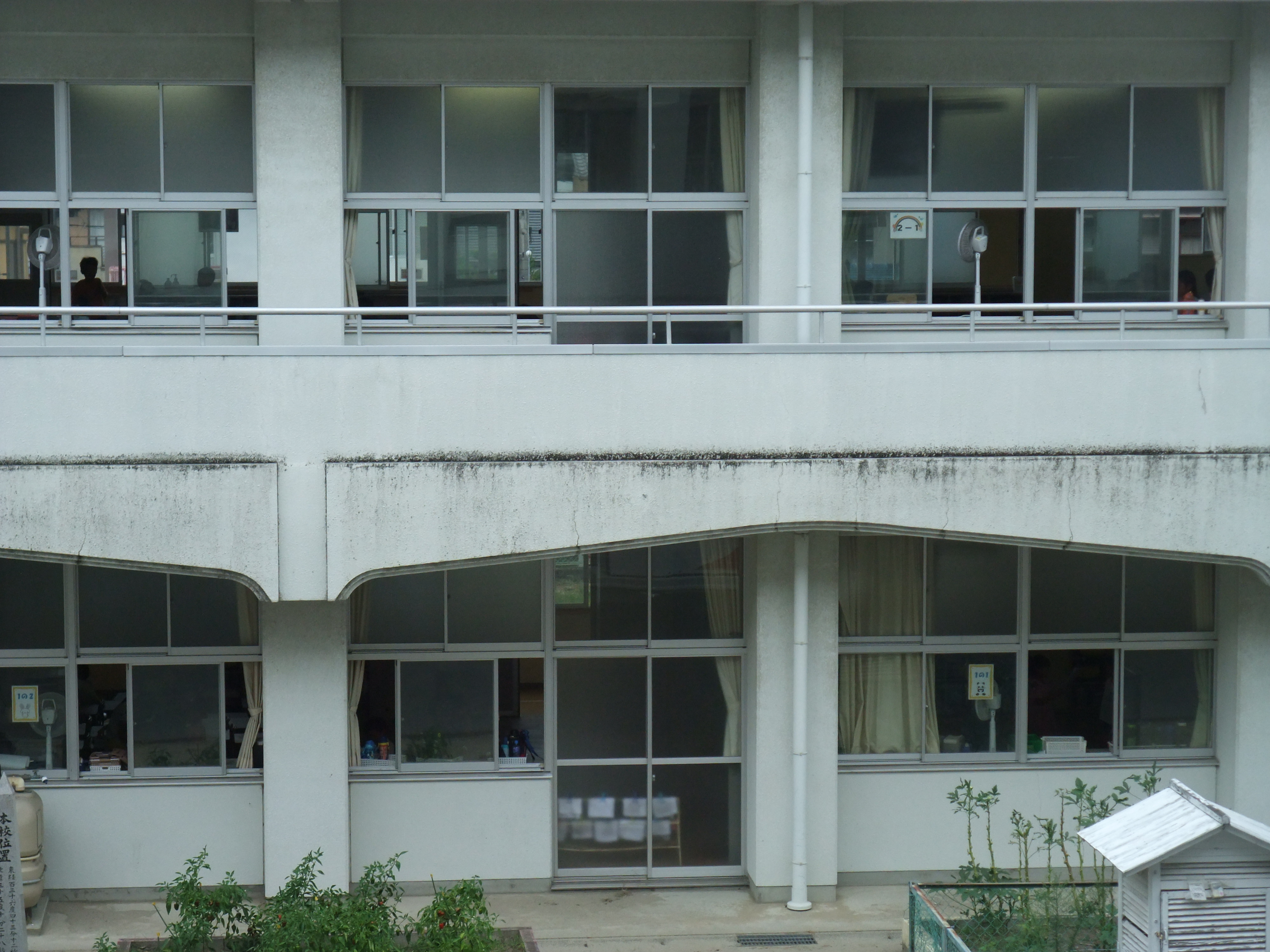 涼しい風が通ります 津島市立西小学校