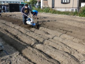 畑になりました 津島市立西小学校